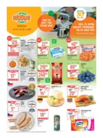 Globus Globus 26 26 L1 &ndash; do 30.06.2026