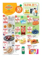 Globus Globus 26 26 L1 &ndash; do 30.06.2026