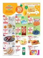 Globus Globus 26 26 L1 &ndash; do 30.06.2026