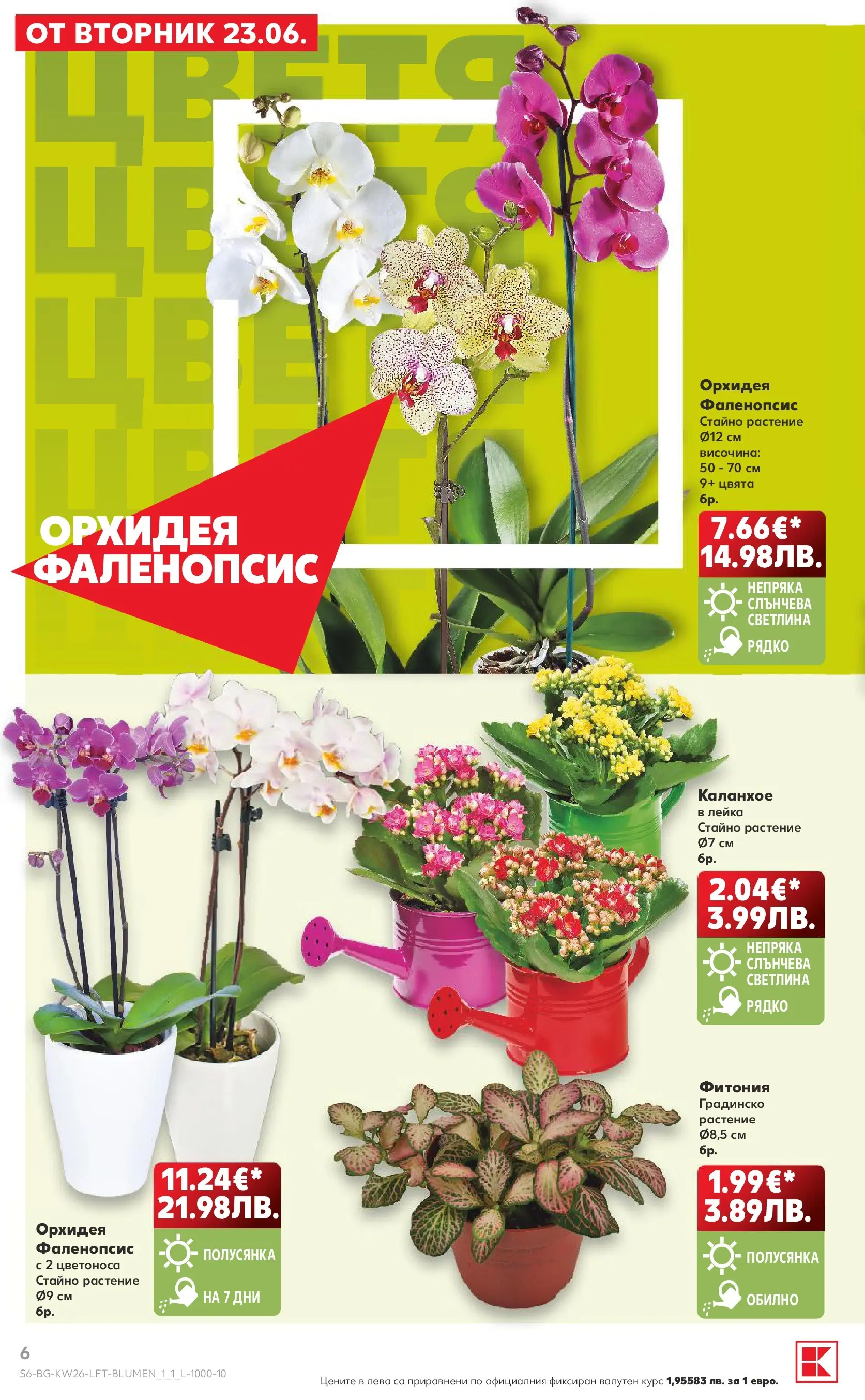 Нова Кауфланд брошура от 21.06.2026 | Страница: 6 Нова Кауфланд брошура - Вкусът идва от корена с Kaufland предложения с валидност до 28.06.2026 от 21.06.2026 | Страница: 6