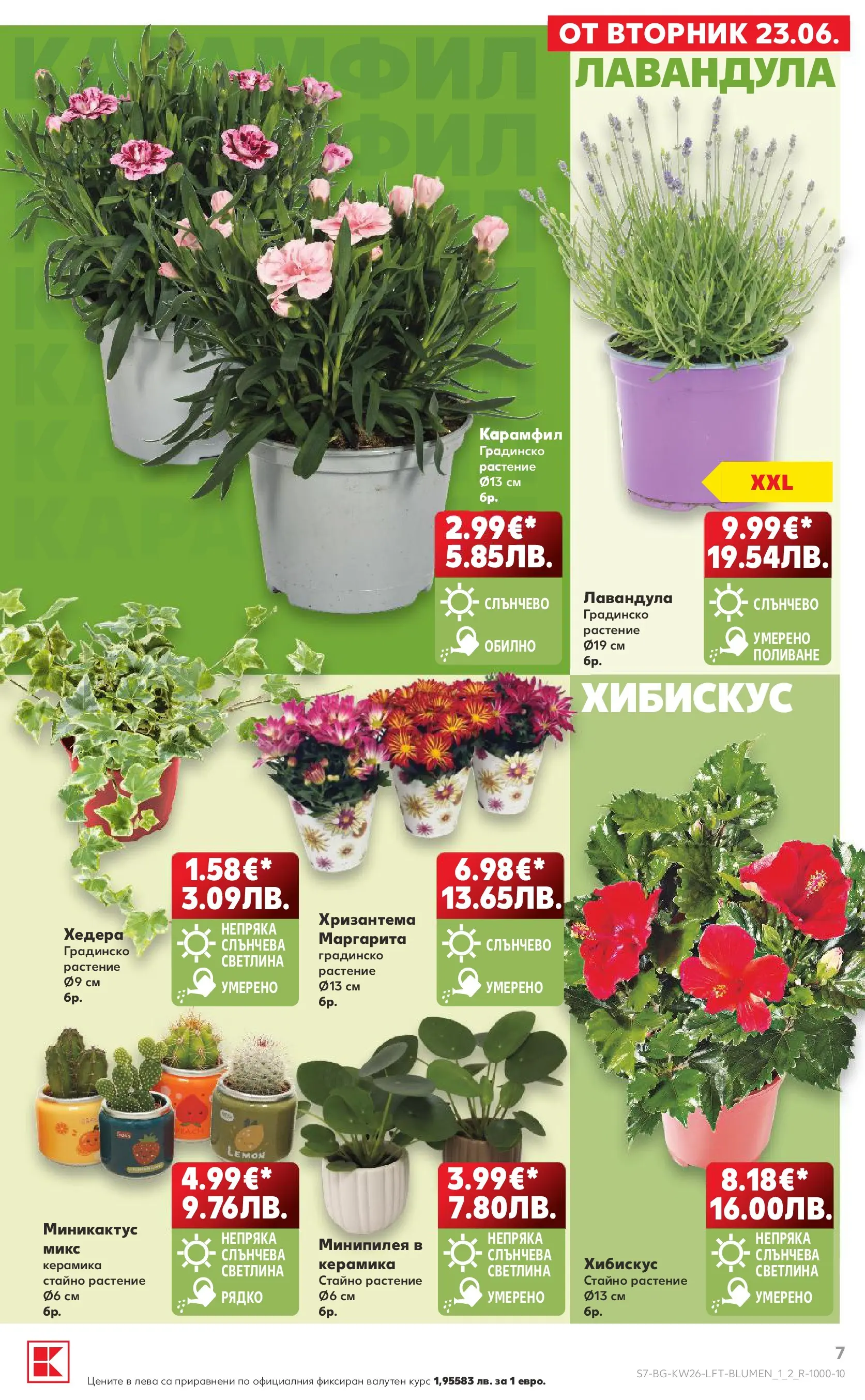 Нова Кауфланд брошура от 21.06.2026 | Страница: 7 Нова Кауфланд брошура - Вкусът идва от корена с Kaufland предложения с валидност до 28.06.2026 от 21.06.2026 | Страница: 7