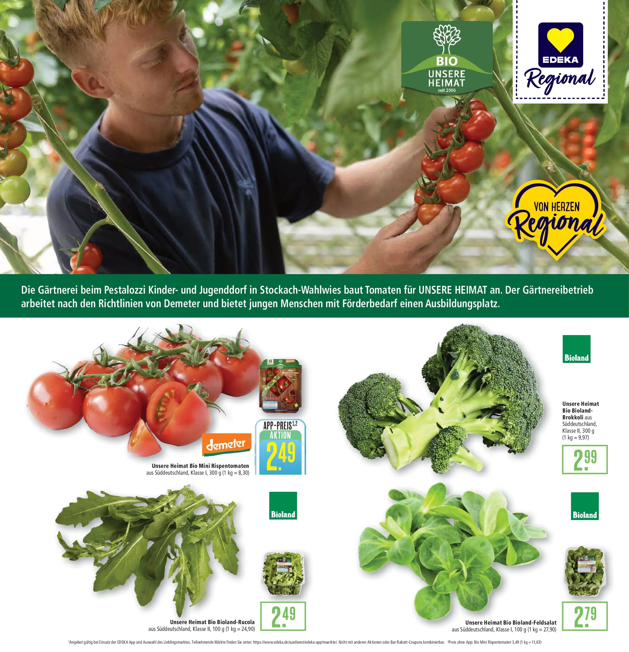 Marktkauf Prospekt Aschaffenburg (ab 21.06.2026) » Angebote online | Seite: 8