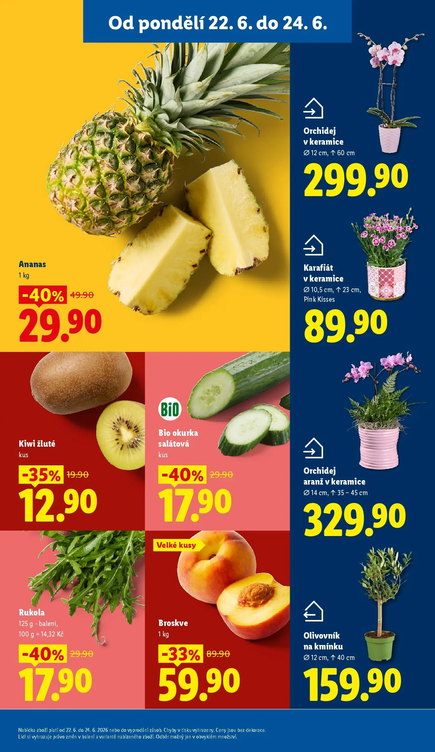 Lidl leták od 21.06.2026 - Nový akční leták | Strana: 13