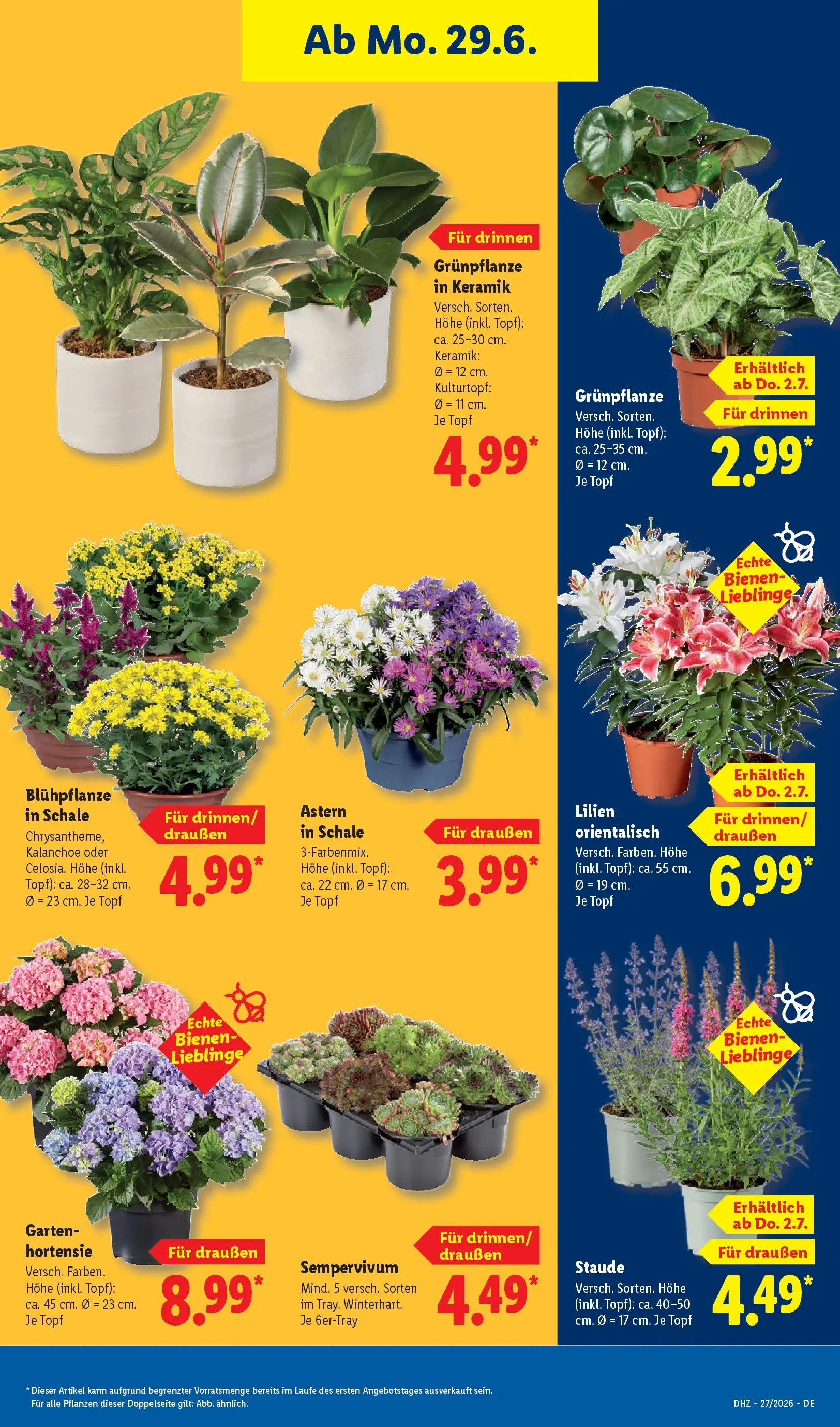 Lidl Prospekt Zülpich (ab 28.06.2026) » Angebote online | Seite: 35 Lidl Prospekt Zülpich (ab 28.06.2026) zum Blättern » Angebote | Seite: 35