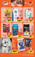 Gazetka ZOOkątek w SUMIE sama miłość