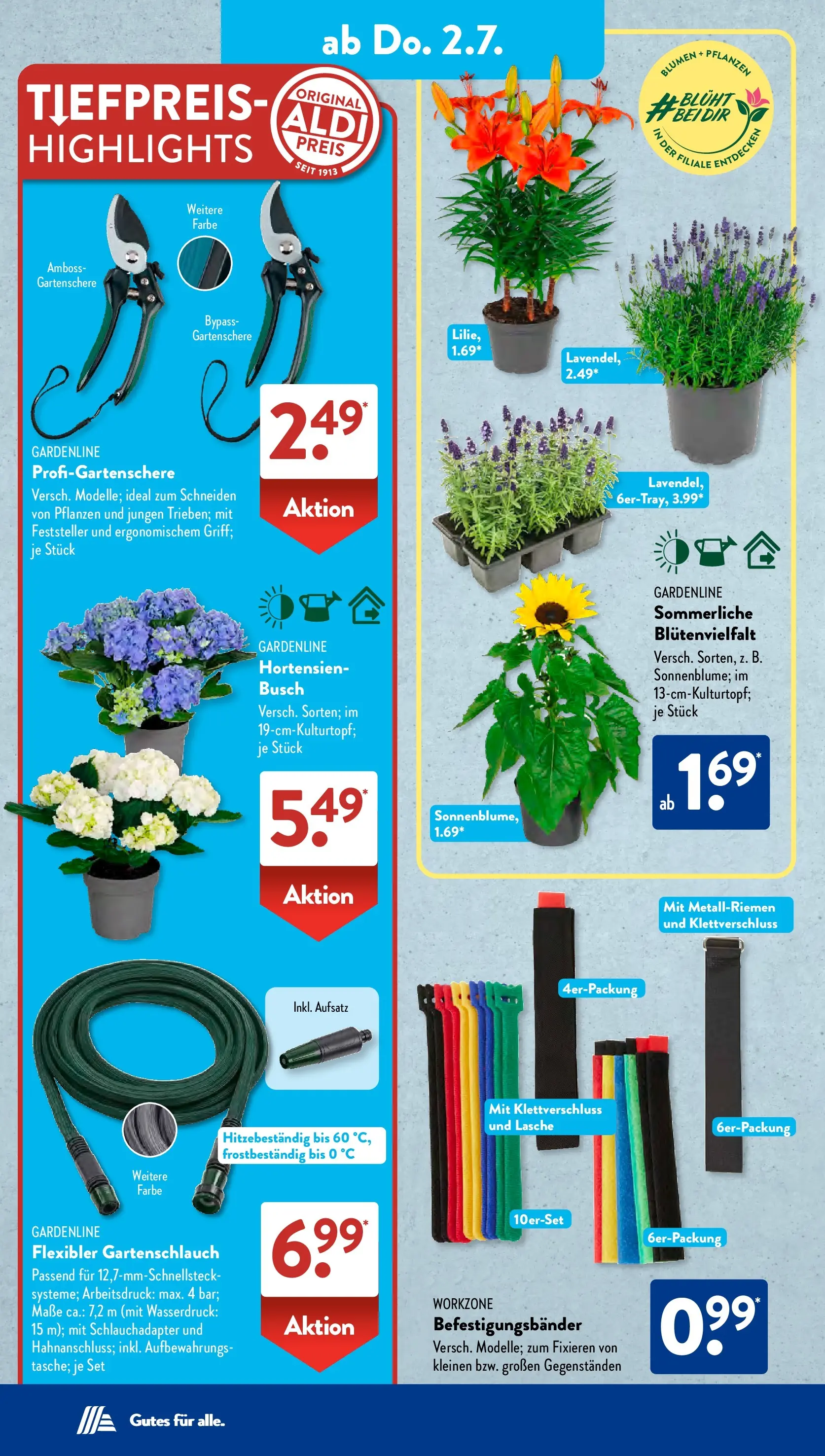 Aldi Süd - Aldi Süd: Wochenangebote (ab 28.06.2026) zum Blättern | Seite: 19 | Produkte: Blumen
