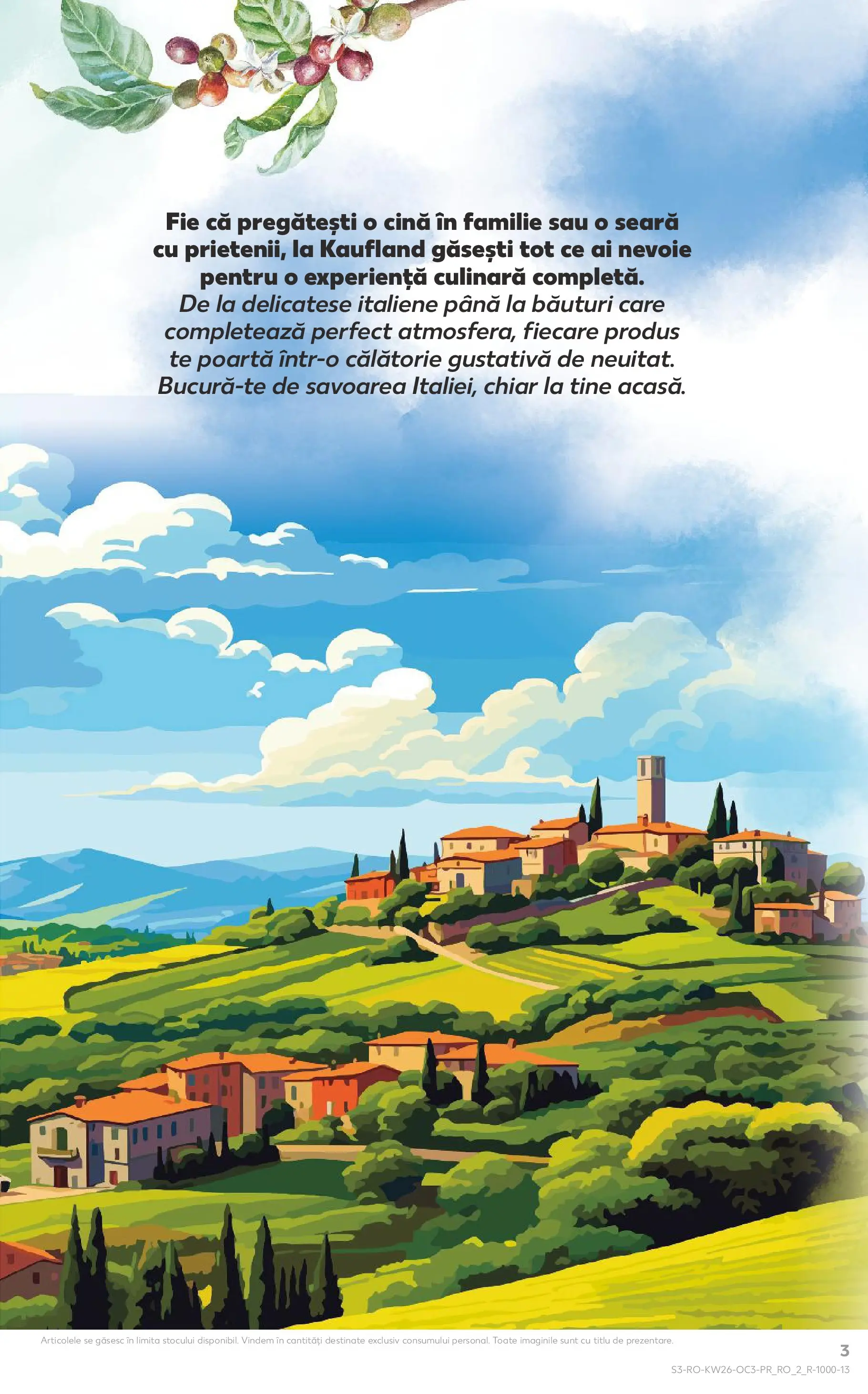 Kaufland Slatina 24.06.2026 - Revista si Oferta | Pagină: 3
