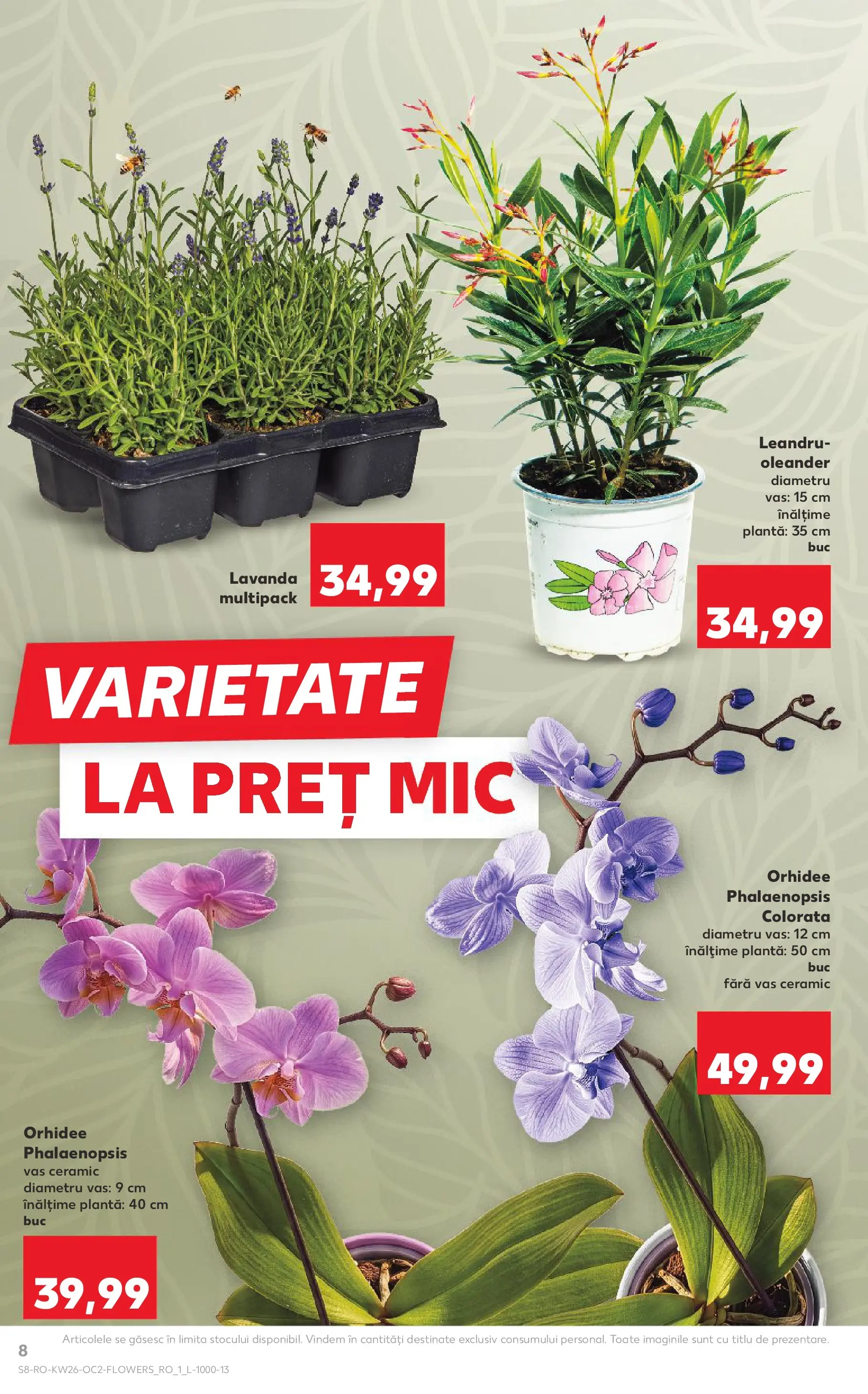 Kaufland Slatina 24.06.2026 - Revista si Oferta | Pagină: 8