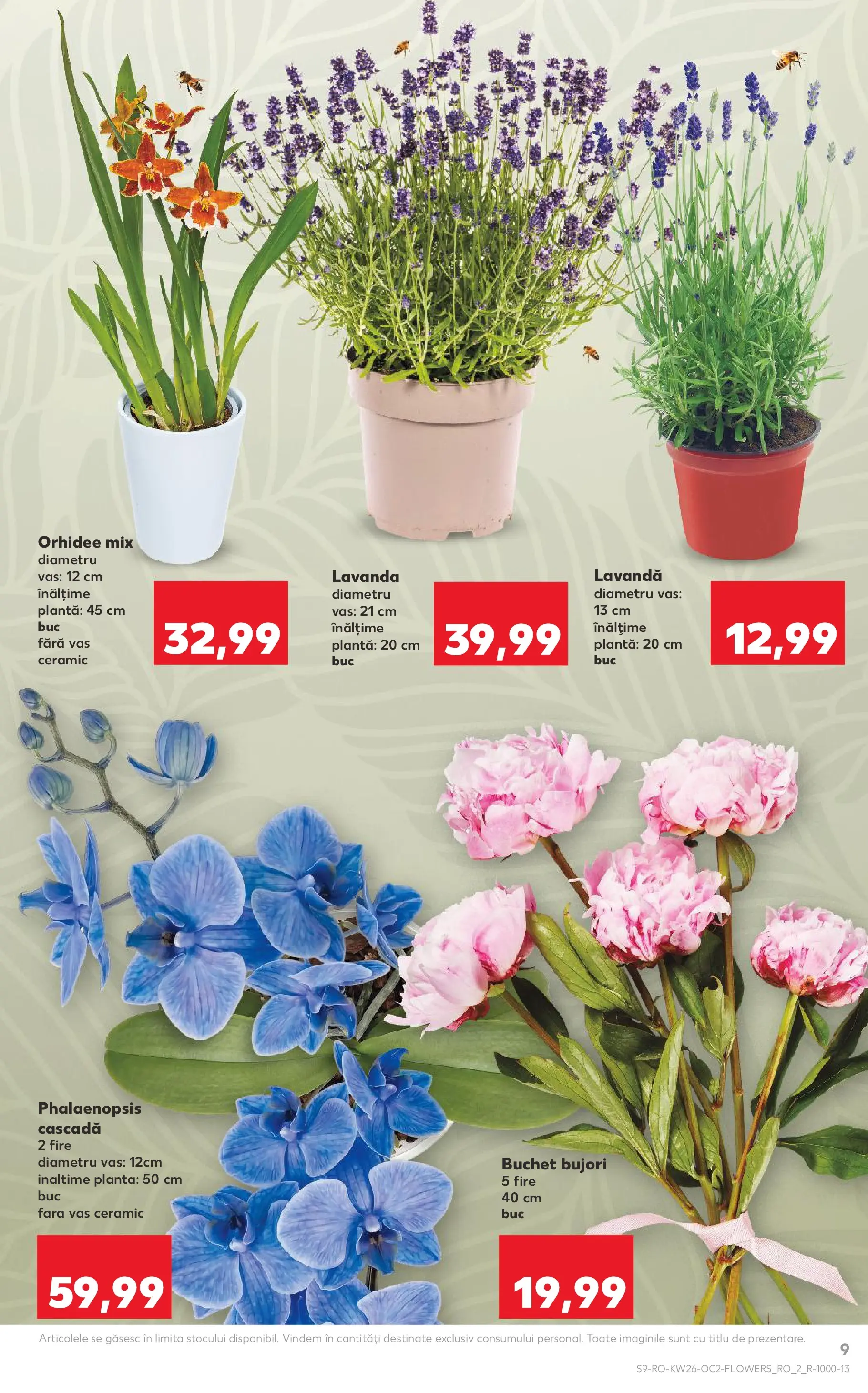 Kaufland Slatina 24.06.2026 - Revista si Oferta | Pagină: 9