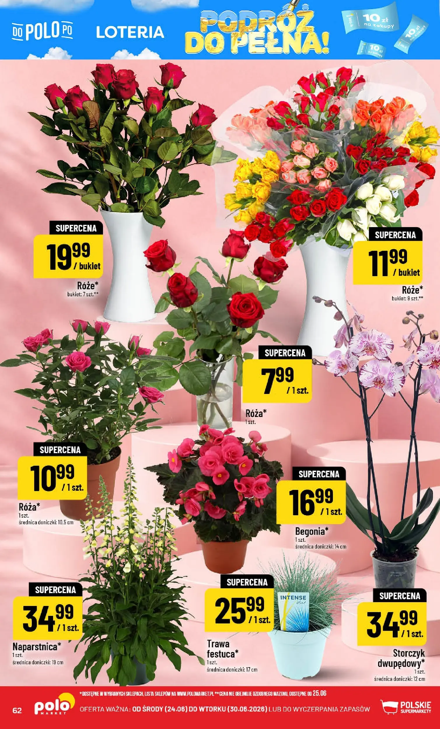 Nowa POLOmarket gazetka od jutra (24.06.2026) | Strona: 62 | Produkty: Doniczki, Storczyk Nowa POLOmarket gazetka od jutra 24.06.2026 | Strona: 62 | Produkty: Doniczki, Storczyk