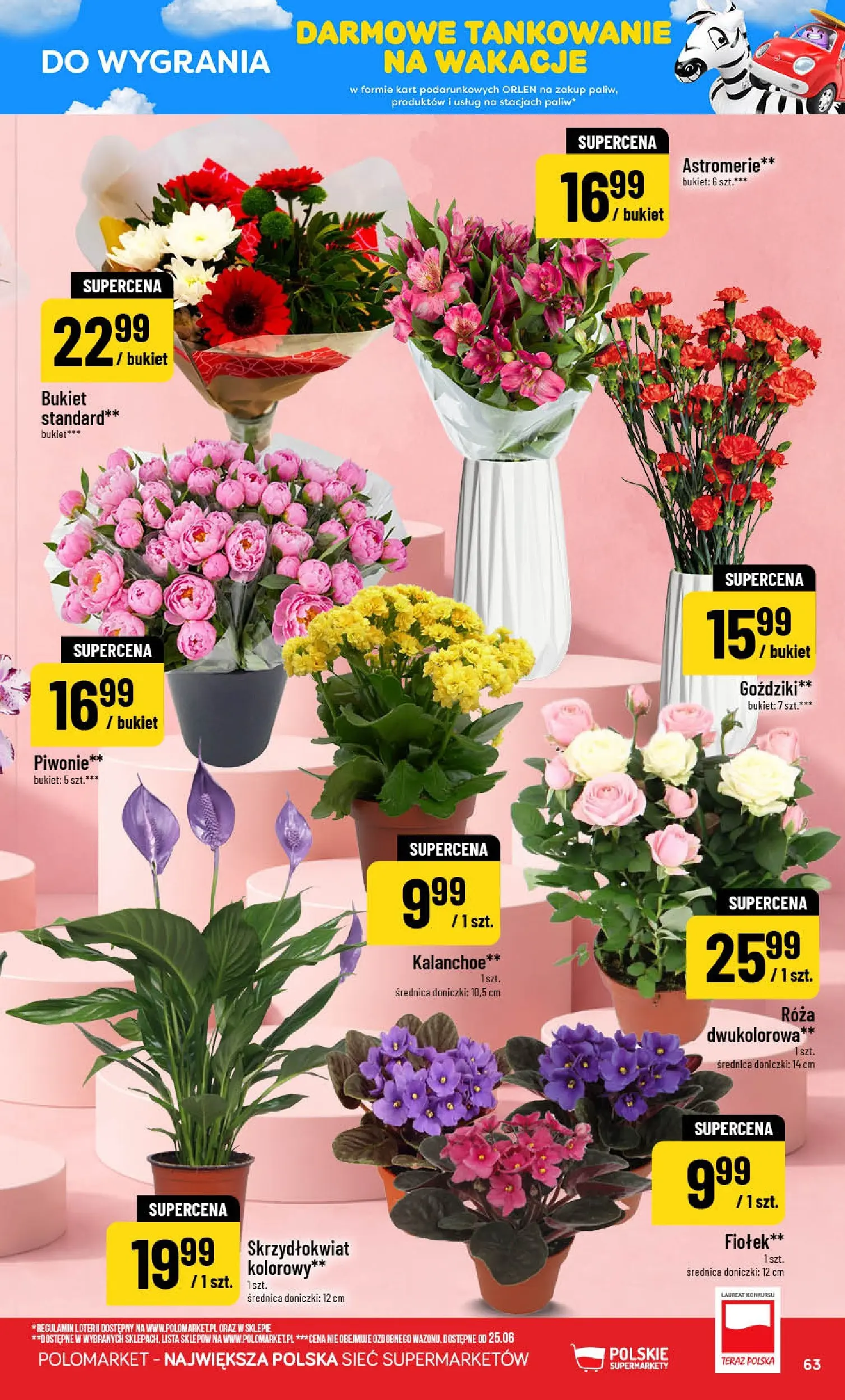 Nowa POLOmarket gazetka od jutra (24.06.2026) | Strona: 63 | Produkty: Goździki, Doniczki, Kalanchoe Nowa POLOmarket gazetka od jutra 24.06.2026 | Strona: 63 | Produkty: Goździki, Doniczki, Kalanchoe
