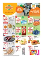 Globus Globus 26 26 L1 &ndash; do 30.06.2026