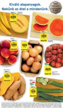 Tesco &uacute;js&aacute;g &eacute;rv&eacute;nyess&eacute;ge 2026.0701-ig