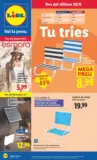 &iexcl;Bazar Lidl!- Ofertas v&aacute;lidas del 29/06 al 05/07