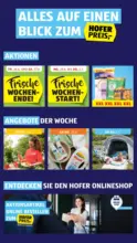 HOFER HOFER: Flugblatt - ab 26.06.2026