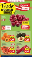 HOFER HOFER: Flugblatt - ab 26.06.2026