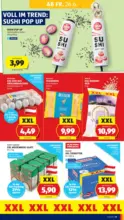 HOFER HOFER: Flugblatt - ab 26.06.2026