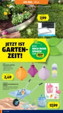 HOFER HOFER: Flugblatt - ab 26.06.2026