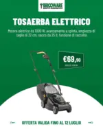 Bricoware Tosaerba elettrico - al 12.07.2026