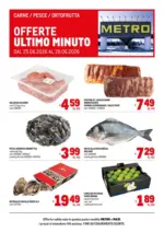 Metro Offerte freschissimi - al 28.06.2026
