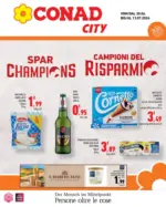 D.A.O. soc. coop. Campioni del risparmio - al 13.07.2026