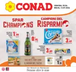 D.A.O. soc. coop. Campioni del risparmio - al 13.07.2026