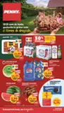 Catalog PENNY p&acirc;nă &icirc;n data de 30.06.2026