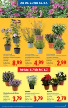 Lidl Lidl - ab 02.07.2026