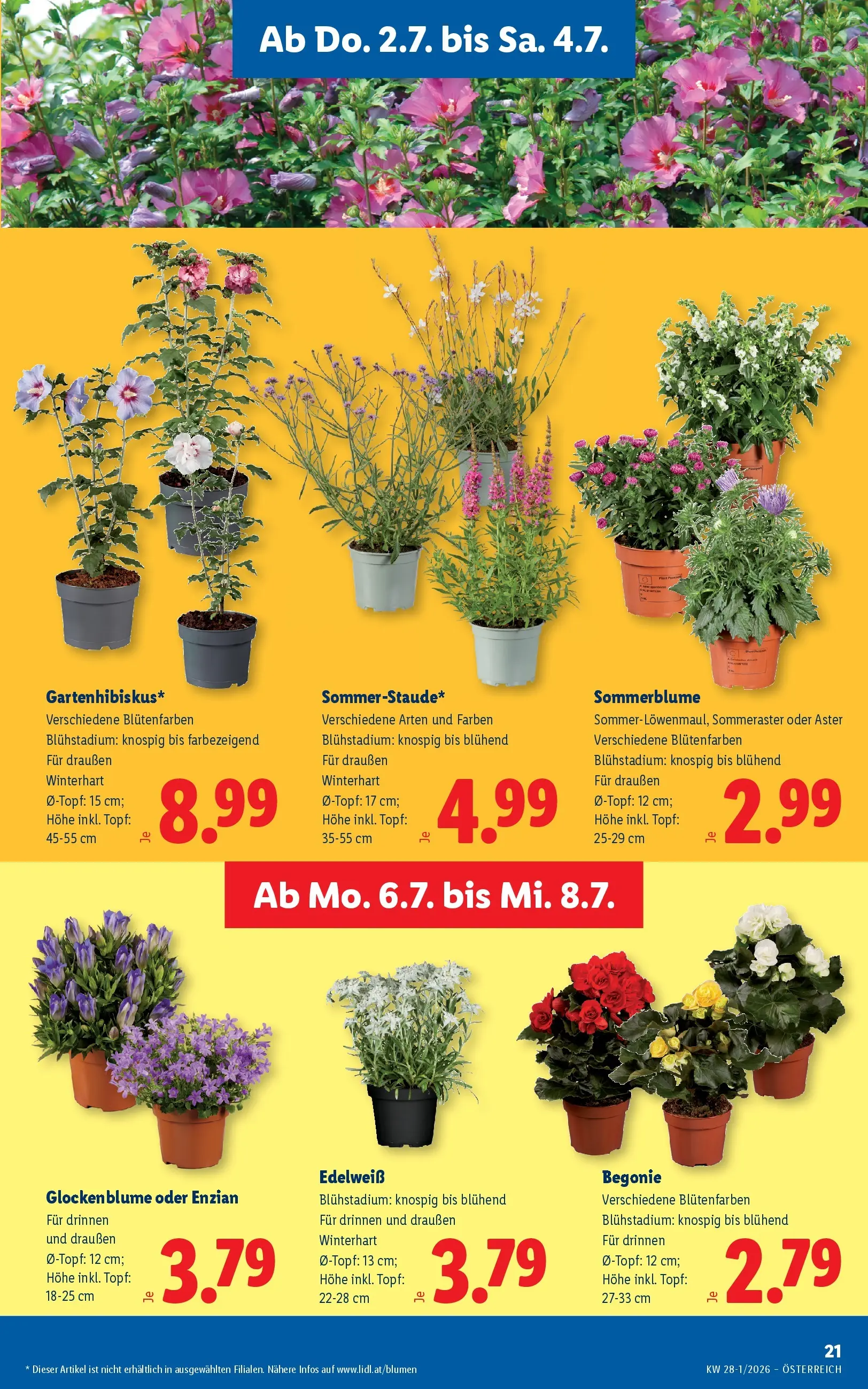 Lidl - Lidl ab 01.07.2026 - Angebote ab donnerstag | Seite: 25