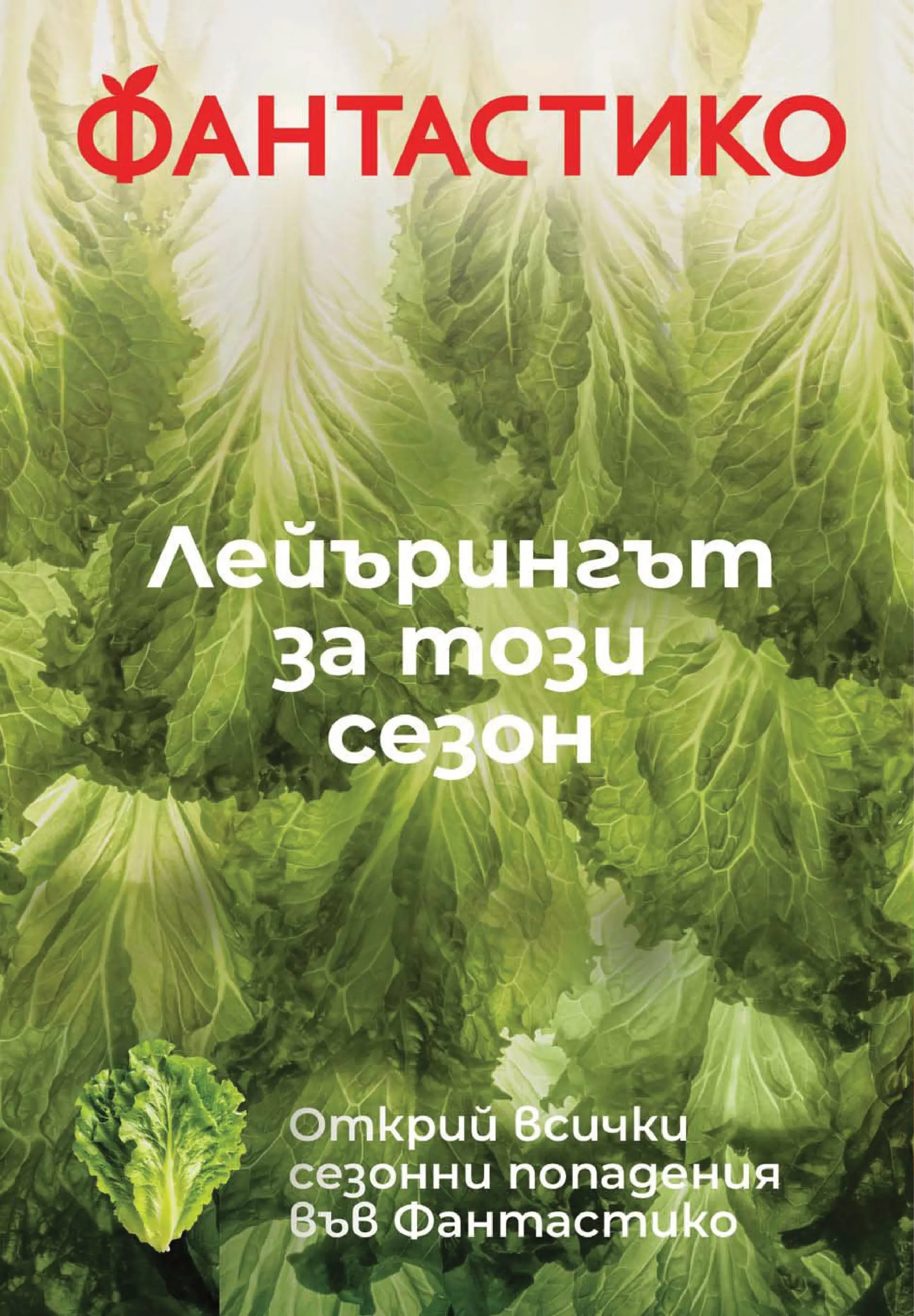 Нова Фантастико - Гръцки полъх във Фантастико с валидност до 01.07.2026 от 24.06.2026 | Страница: 12