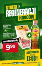 Stokrotka gazetka