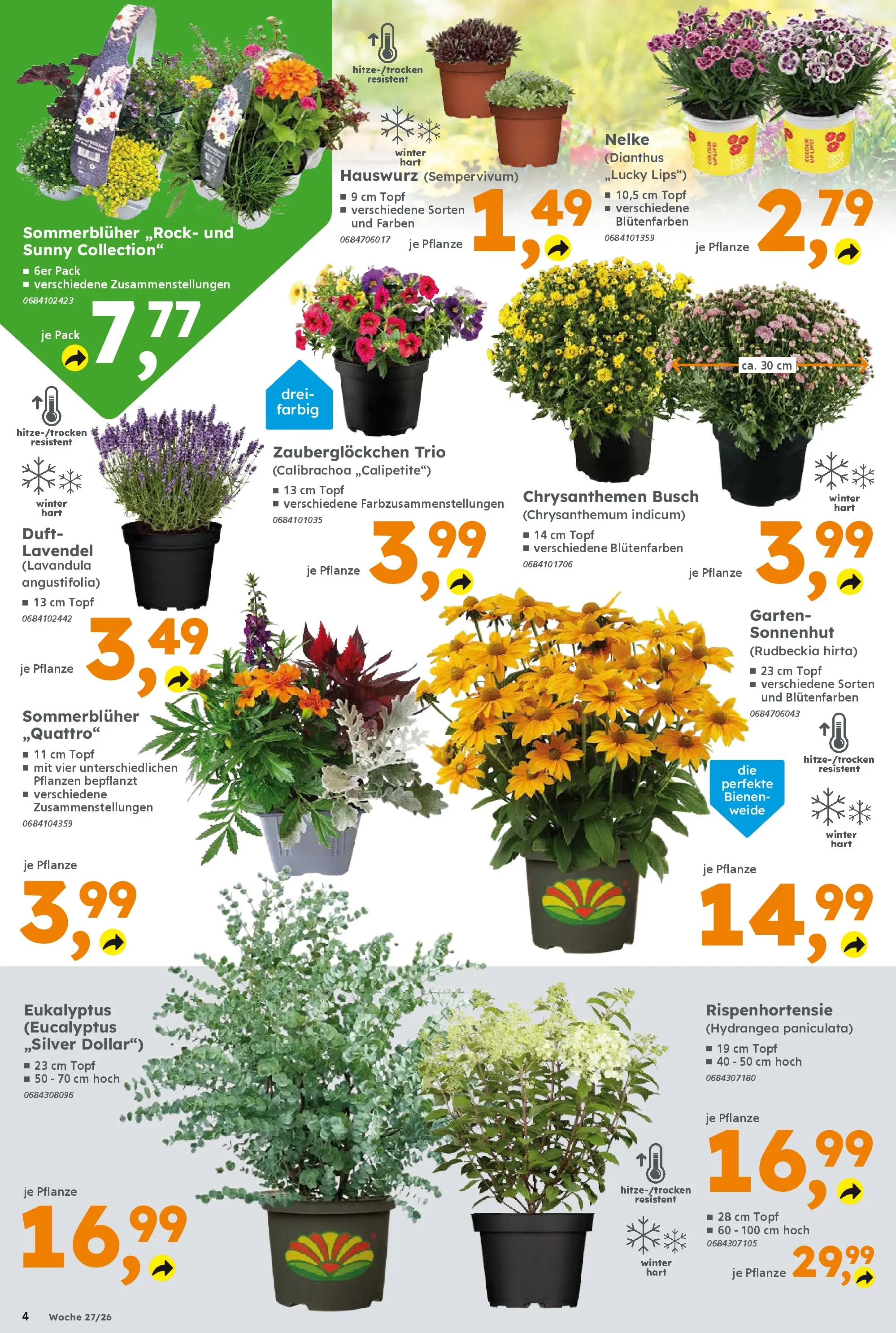 Globus Baumarkt - Globus Baumarkt: Wochenangebote (ab 28.06.2026) zum Blättern | Seite: 4 | Produkte: Duft, Lavendel