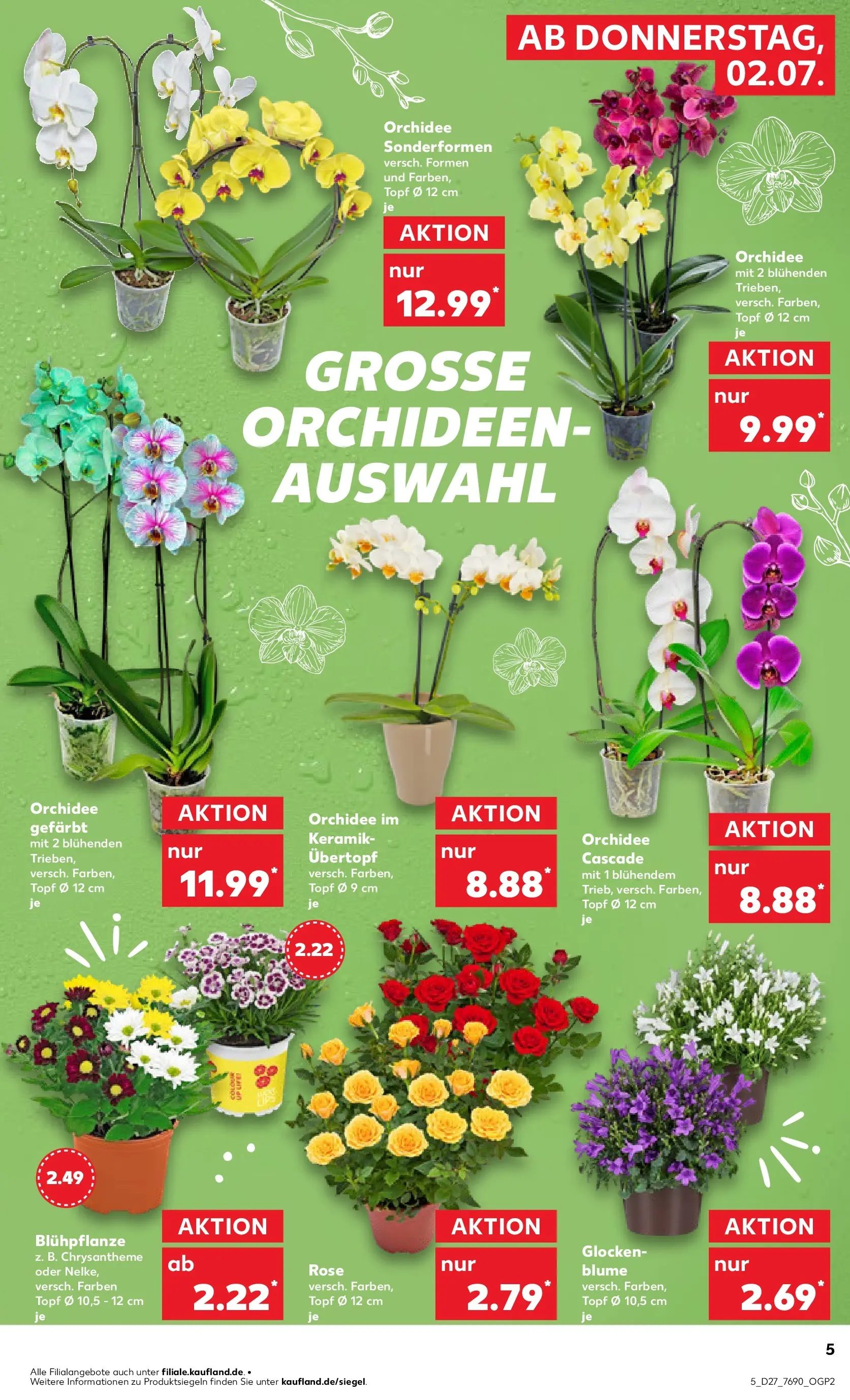 Prospekt Kaufland ab 29.06.2026 » Angebote Online zum Blättern | Seite: 16 | Produkte: Orchidee