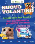 3D S.R.L. Invialo alla tua bestie - al 12.07.2026