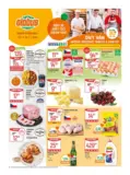 Globus 27 26 L1