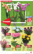 Kaufland хипермаркет Xtra отстъпки в Kaufland с валидност до 05.07.2026 - до 05-07-26