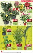 Kaufland хипермаркет Xtra отстъпки в Kaufland с валидност до 05.07.2026 - до 05-07-26