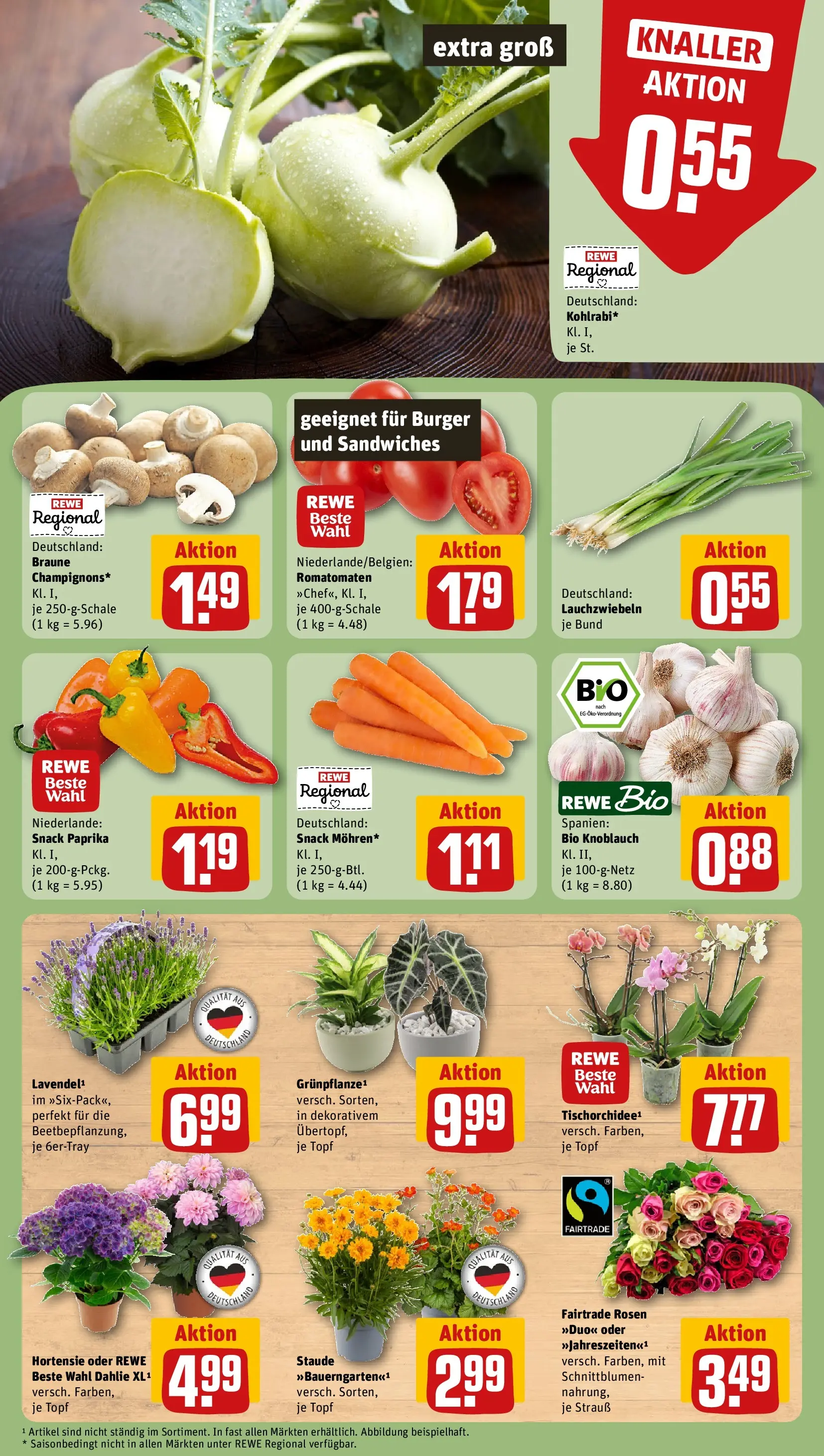 REWE Prospekt ab 28.06.2026 zum Blättern » Angebote | Seite: 9 | Produkte: Hortensie, Burger, Paprika, Knoblauch