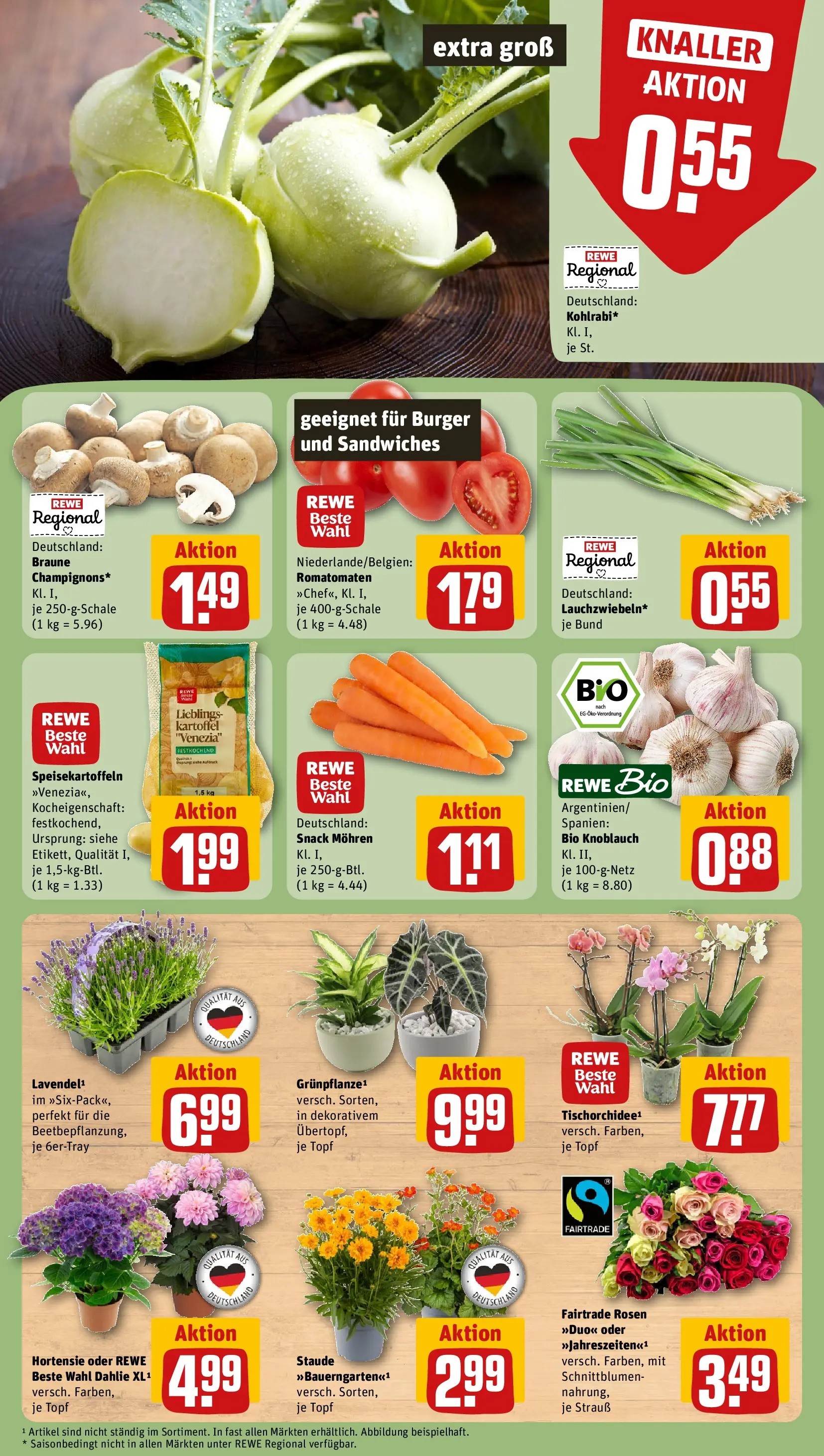 REWE Prospekt ab 28.06.2026 zum Blättern » Angebote | Seite: 9 | Produkte: Hortensie, Burger, Mohren, Knoblauch
