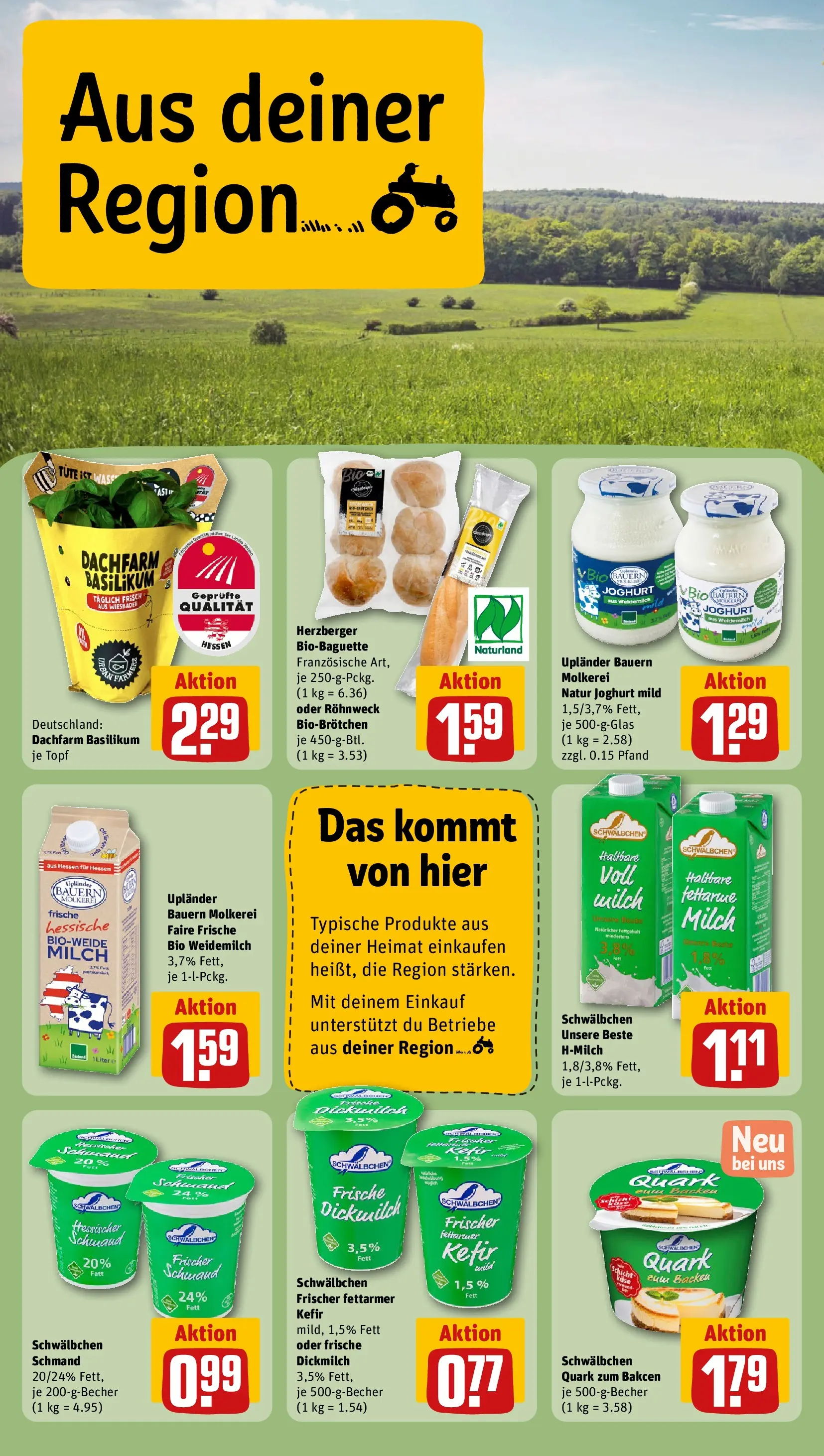 REWE Prospekt ab 28.06.2026 zum Blättern » Angebote | Seite: 24 | Produkte: Quark, Milch, Käse, Joghurt