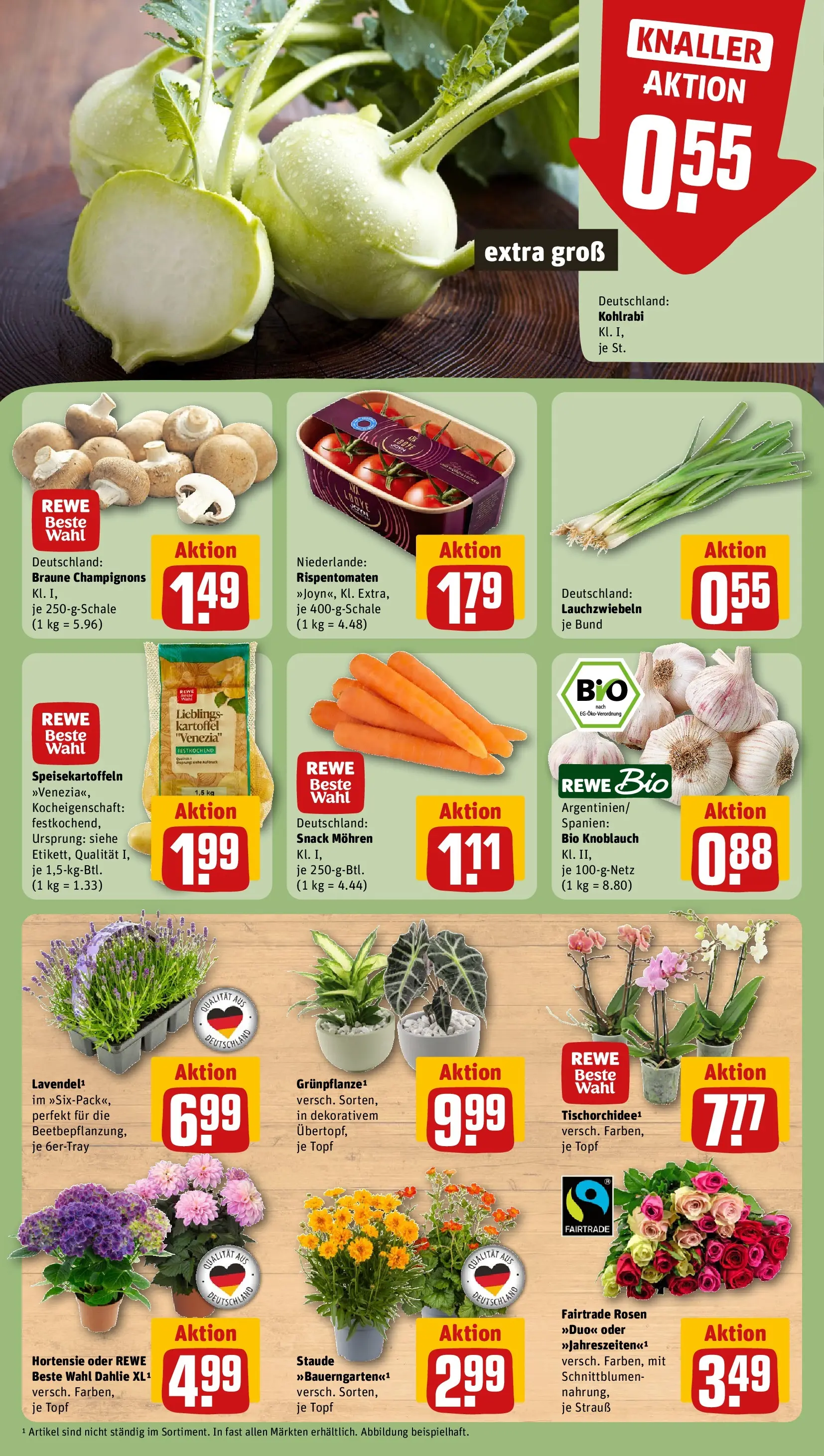 REWE Prospekt ab 28.06.2026 zum Blättern » Angebote | Seite: 9 | Produkte: Hortensie, Kohlrabi, Mohren, Champignons