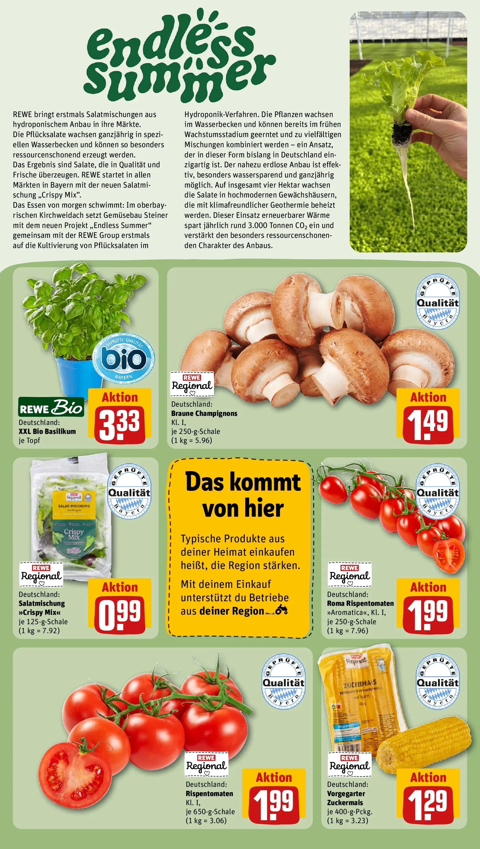 REWE Prospekt ab 28.06.2026 zum Blättern » Angebote | Seite: 24