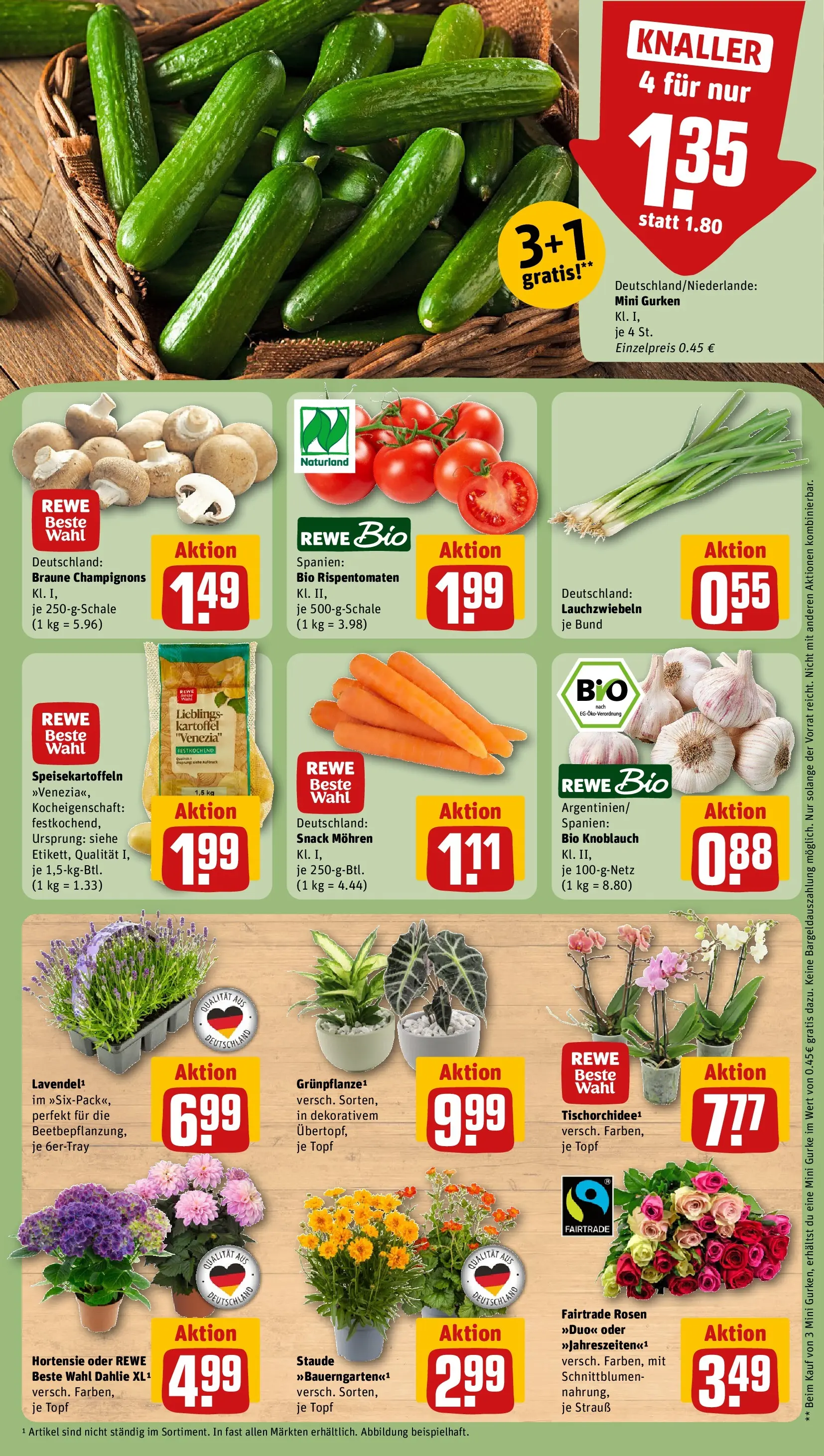 REWE Prospekt ab 28.06.2026 zum Blättern » Angebote | Seite: 9