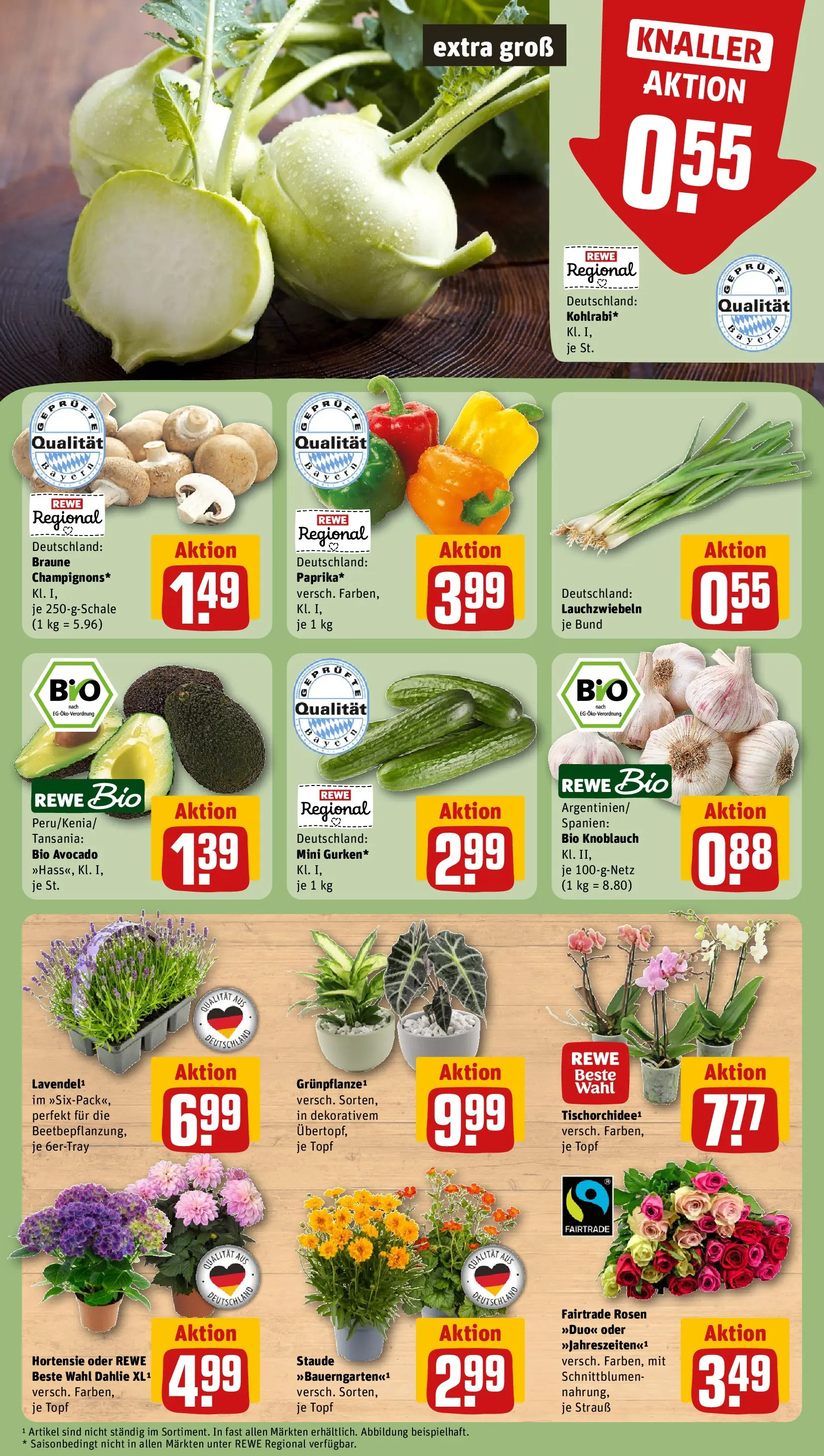 REWE Prospekt ab 28.06.2026 zum Blättern » Angebote | Seite: 9 | Produkte: Hortensie, Avocado, Knoblauch
