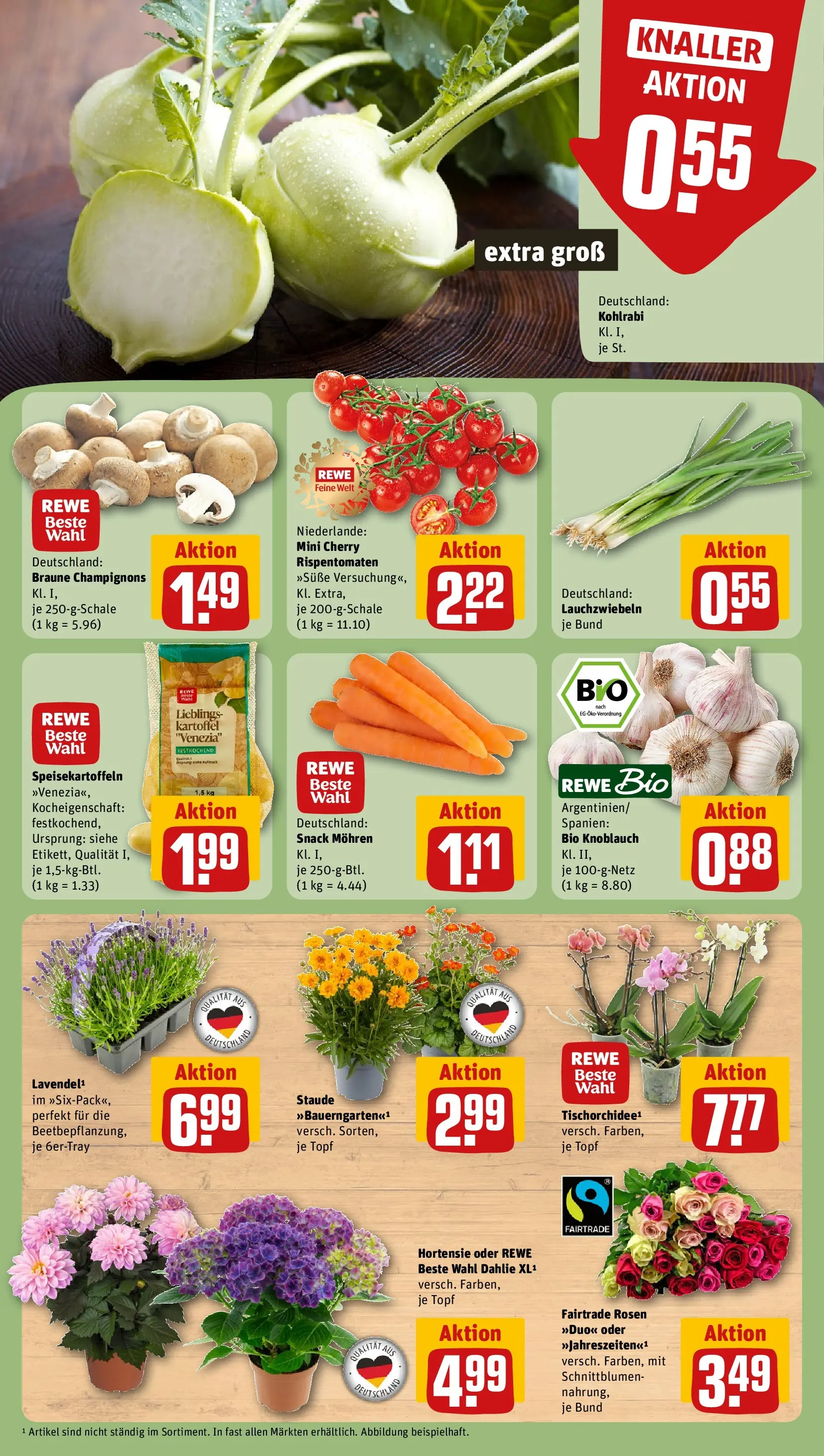 REWE Prospekt ab 29.06.2026 zum Blättern » Angebote | Seite: 9 | Produkte: Hortensie, Kohlrabi, Champignons, Knoblauch