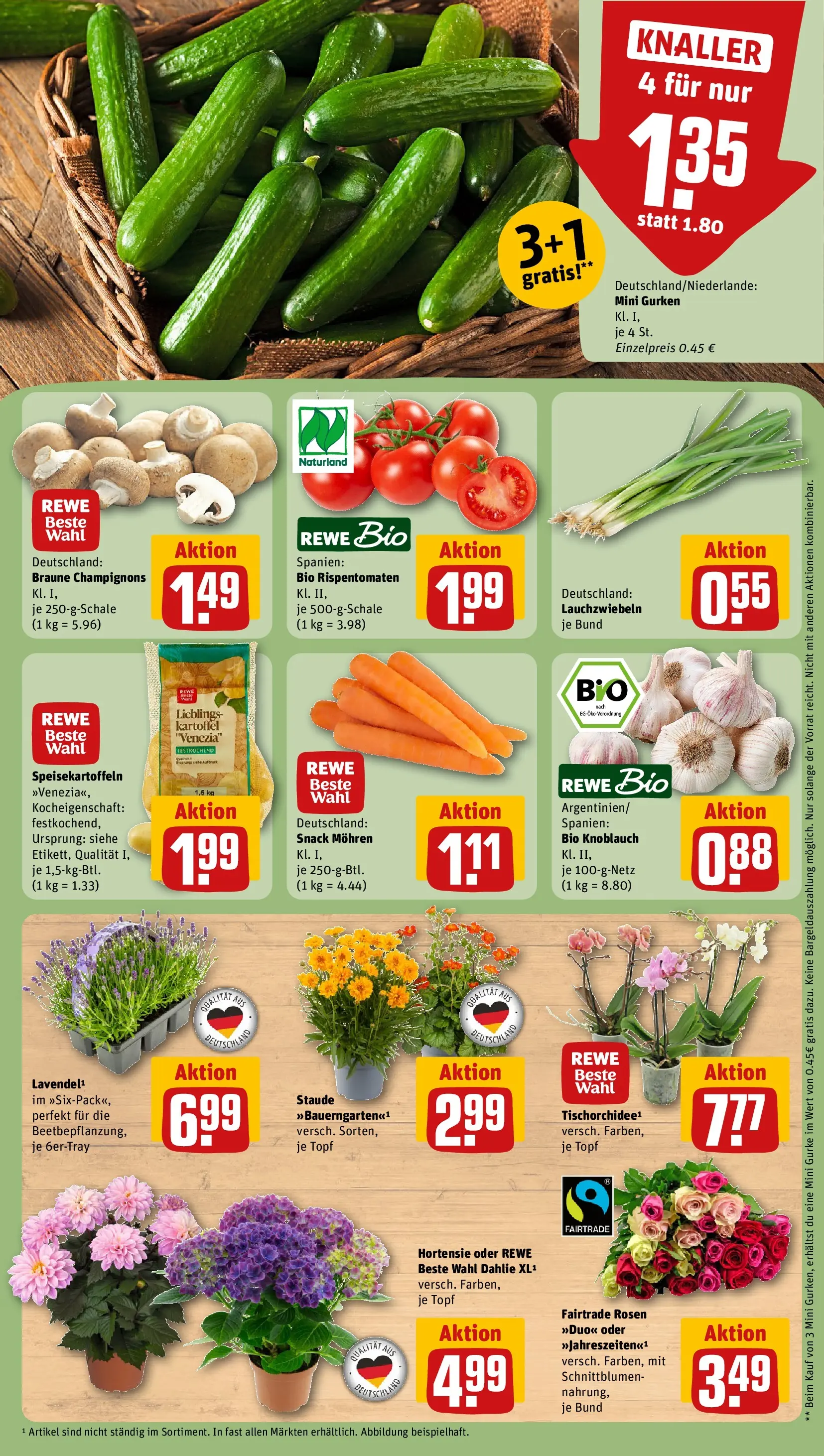 REWE Prospekt ab 29.06.2026 zum Blättern » Angebote | Seite: 9 | Produkte: Hortensie, Mohren, Champignons, Gurken