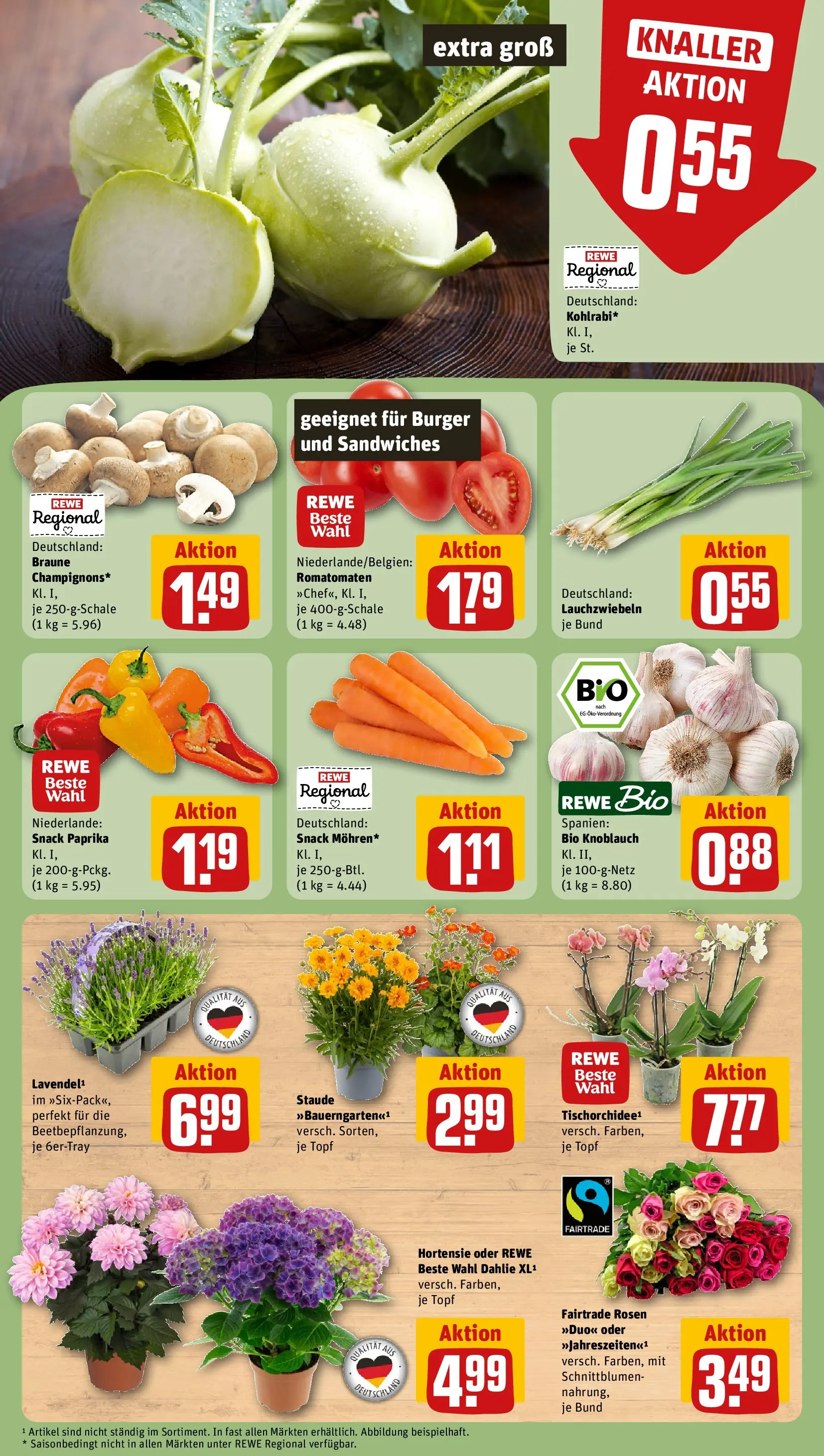 REWE Prospekt ab 29.06.2026 zum Blättern » Angebote | Seite: 9 | Produkte: Hortensie, Burger, Paprika, Knoblauch