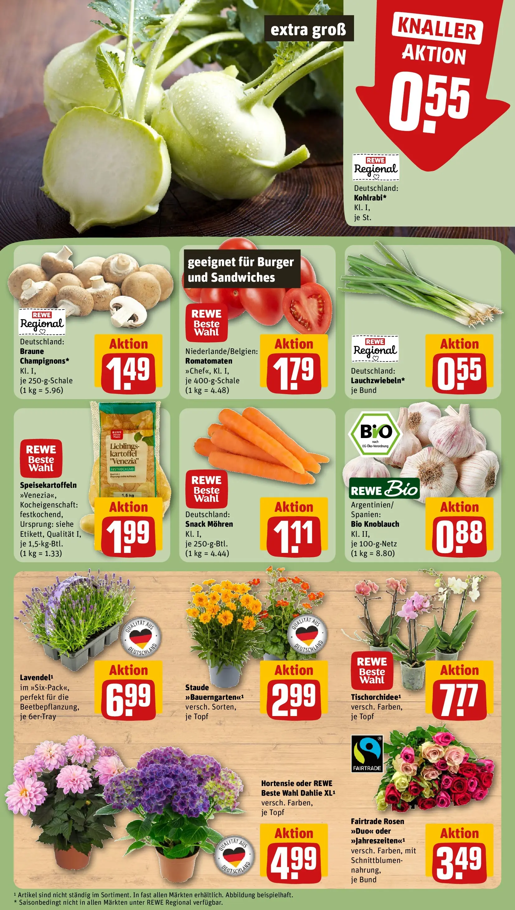 REWE Prospekt ab 29.06.2026 zum Blättern » Angebote | Seite: 9 | Produkte: Hortensie, Burger, Mohren, Knoblauch