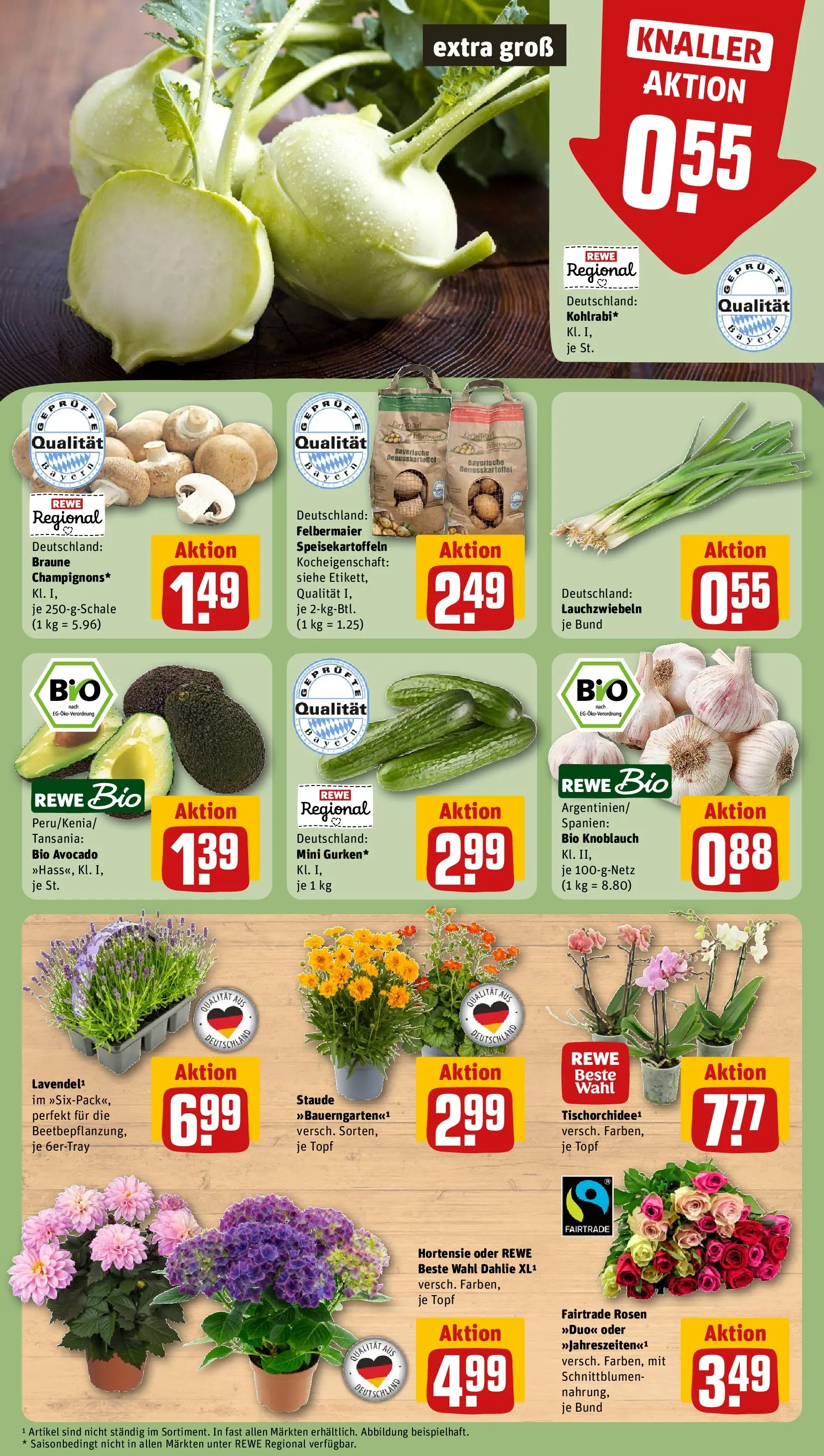 REWE Prospekt ab 29.06.2026 zum Blättern » Angebote | Seite: 9 | Produkte: Hortensie, Avocado, Knoblauch