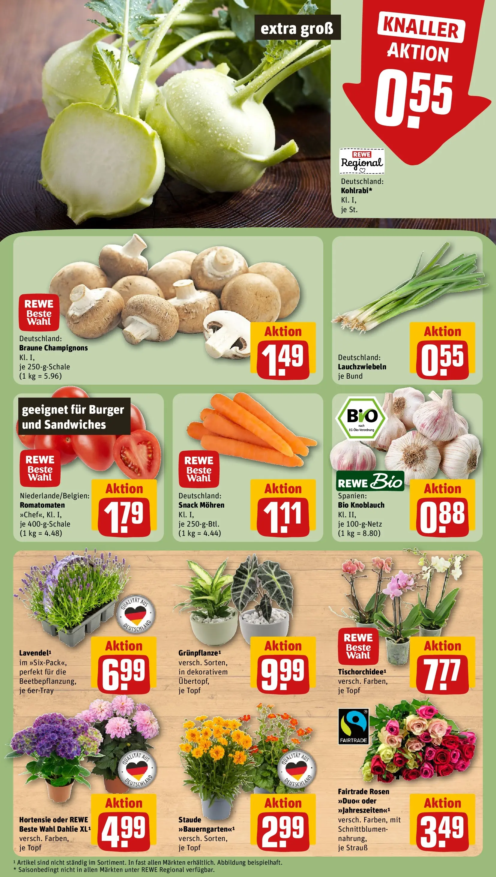 REWE Prospekt ab 29.06.2026 zum Blättern » Angebote | Seite: 5 | Produkte: Hortensie, Burger, Mohren, Champignons